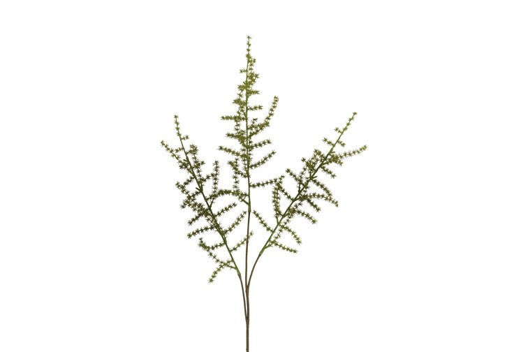 Kunstbloem / Kunstblad Asparagus setaseus - Groen - 73 cm