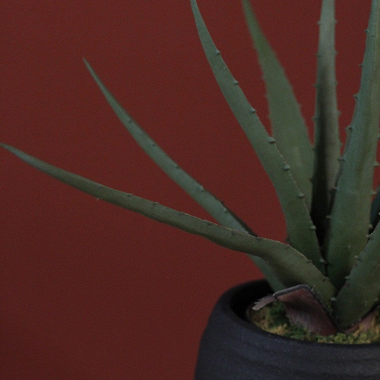 Kunstplant Aloe vera - Groen - 35 cm