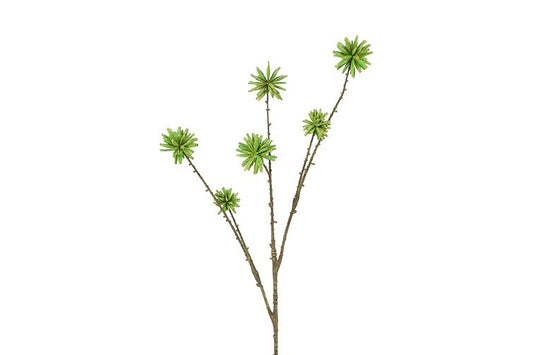Kunstbloem / Kunstknop Camptotheca  - Groen - 79 cm