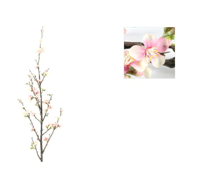 Bloesem tak Quince  - Licht roze - 75 cm