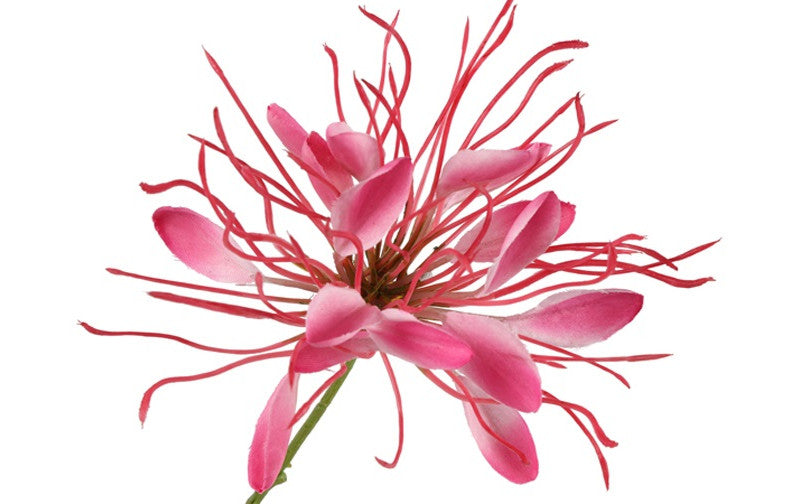 Kunstbloem Lycoris  - Donker roze  - 118 cm