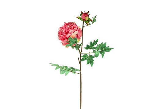 Kunstbloem  Paeonia  - Donker roze - 107 cm