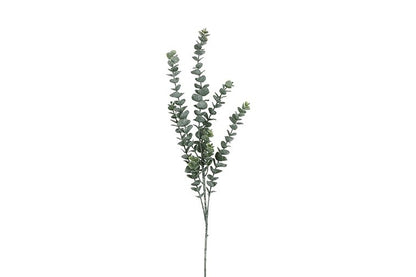 Kunstbloem / Kunstblad Eucalipthus  - Groen - 105 cm