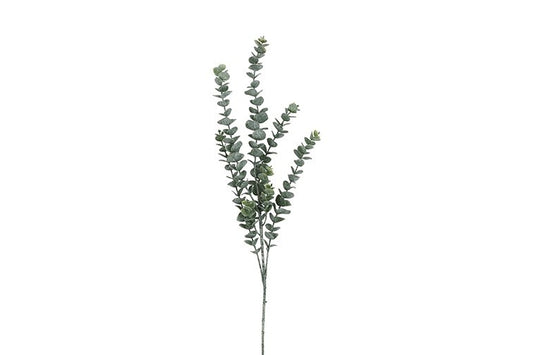 Kunstbloem / Kunstblad Eucalipthus  - Groen - 105 cm