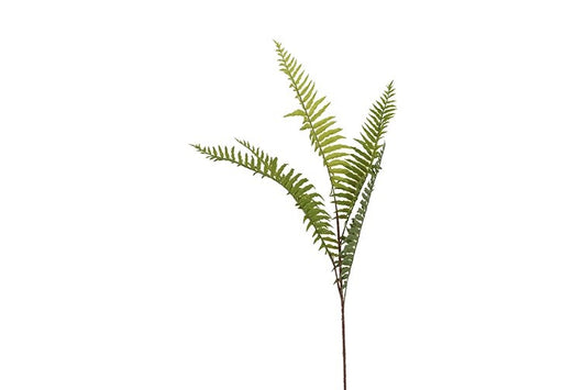 Kunstbloem / Kunstblad Nephrolepis  - Groen - 105 cm