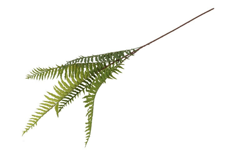 Kunstbloem / Kunstblad Nephrolepis  - Groen - 105 cm