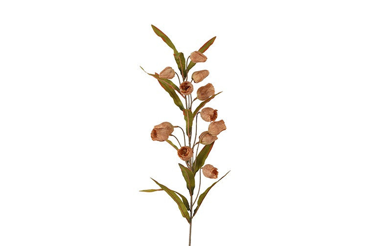Kunstbloem Sandersonia miranda  - Bruin  - 99 cm