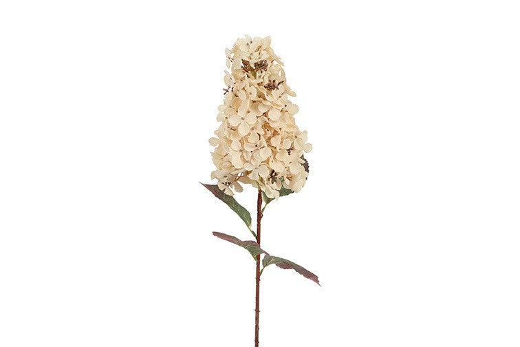 Kunstbloem Hydrangea Aletta Paniculata - Wit - 83 cm