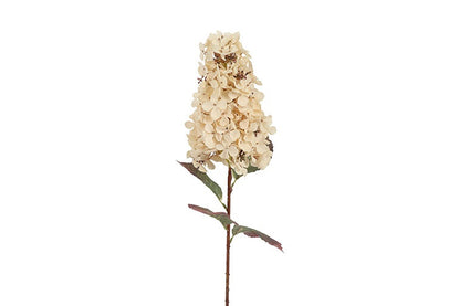 Kunstbloem Hydrangea Aletta Paniculata - Wit - 83 cm