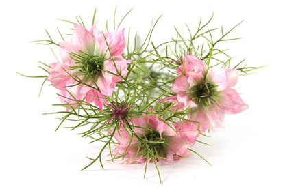 Kunstbloem Cosmos bipinnatus Jalish - Roze - 66 cm