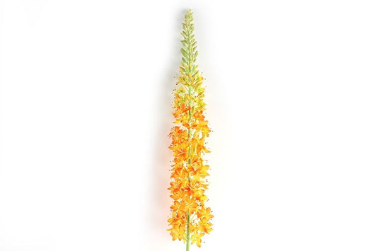 Kunstbloem Lythrum  - Oranje - 127 cm