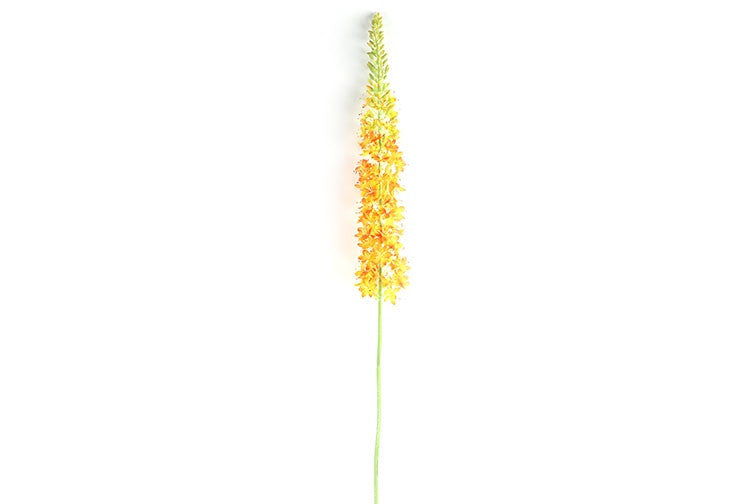 Kunstbloem Lythrum  - Oranje - 127 cm