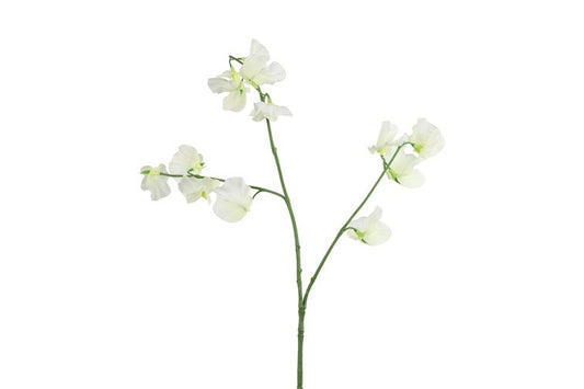 Kunstbloem Lathyrus oradus - Wit - 77 cm