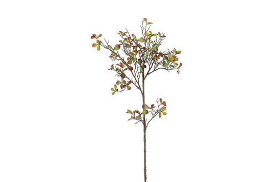 Kunsttak Bucephalandra - Rood/groen - 75 cm