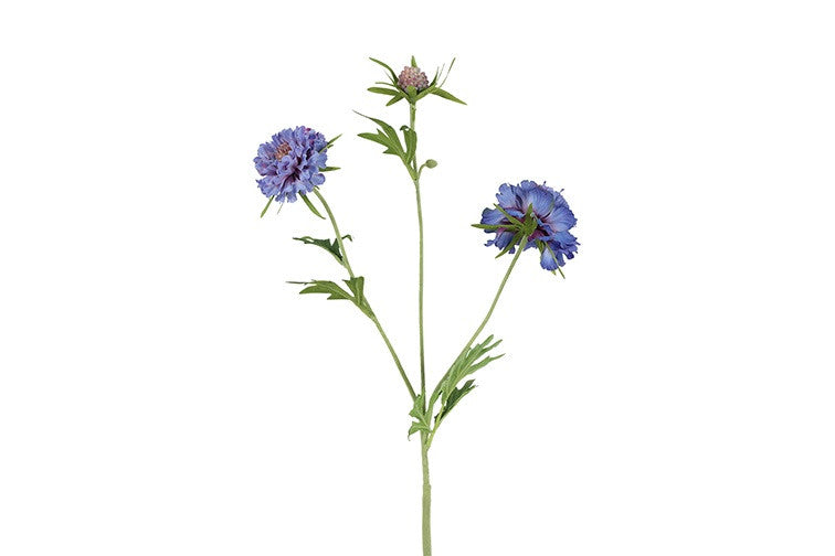 Kunstbloem  Scabiosa - Blauw - 72 cm