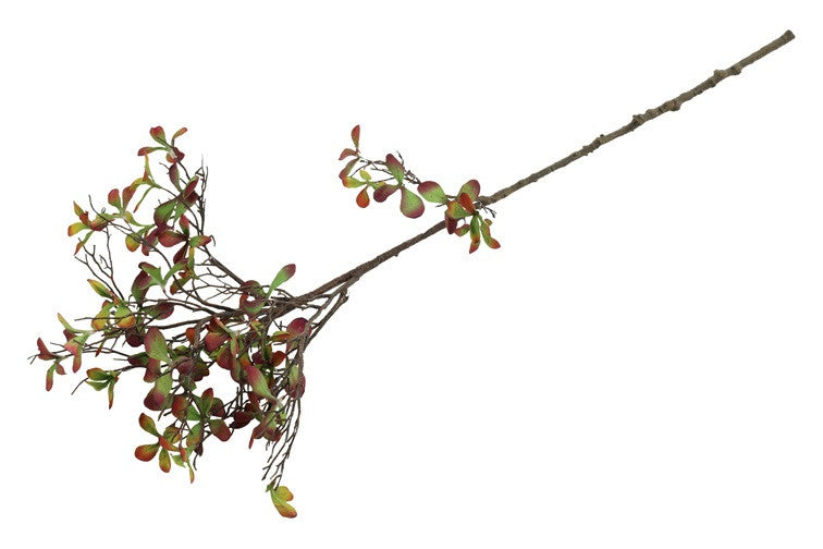 Kunsttak Bucephalandra - Rood/groen - 75 cm