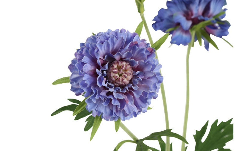 Kunstbloem  Scabiosa - Blauw - 72 cm