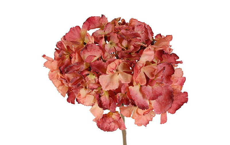 Kunstbloem  Hydrangea macrophylla Cas - Lichtroze- 81 cm