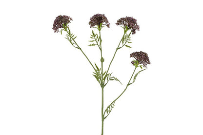 Kunstbloem  Anthriscus - Paars - 72 cm