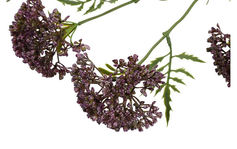 Kunstbloem  Anthriscus - Paars - 72 cm