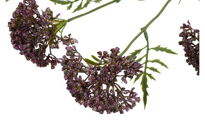 Kunstbloem  Anthriscus - Paars - 72 cm