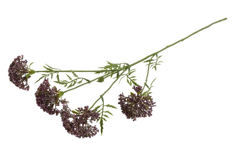 Kunstbloem  Anthriscus - Paars - 72 cm