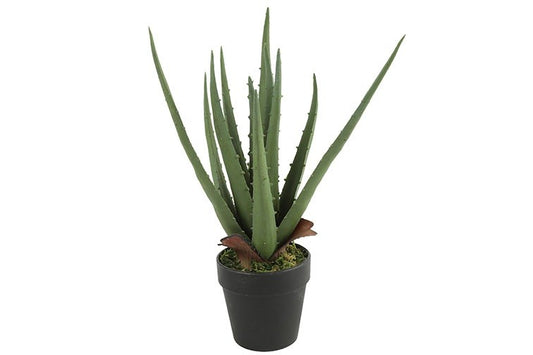 Kunstplant Aloe vera - Groen - 35 cm